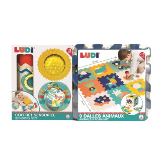 Conjunto actividades de estimulación LUDI