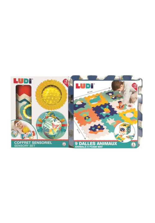 Conjunto actividades de estimulación LUDI