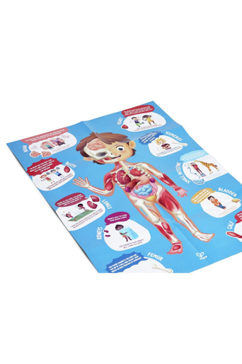 Puzzle cuerpo humano HAPE 