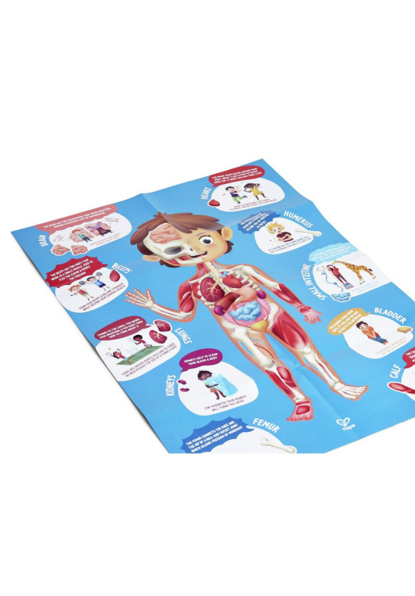 Puzzle cuerpo humano HAPE 