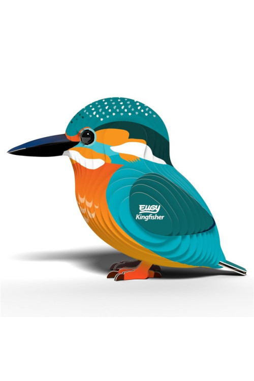 Kingfisher EUGY DODOLAND