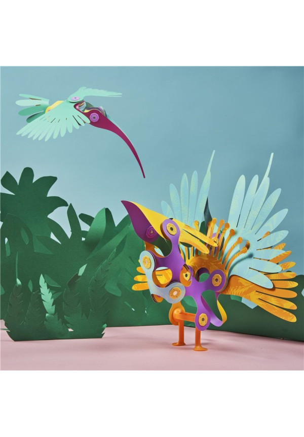 Tropical Birds CLIXO