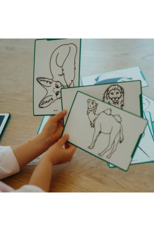 Kidydraw mini Animales del Mundo KIDYWOLF Kidydraw mini Animales del Mundo KIDYWOLF