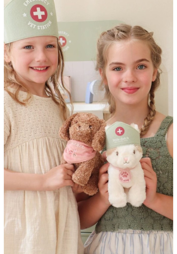 Veterinario LITTLE DUTCH