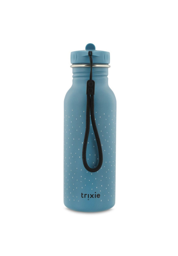 Botella acero Mr. Triceratops 500 TRIXIE