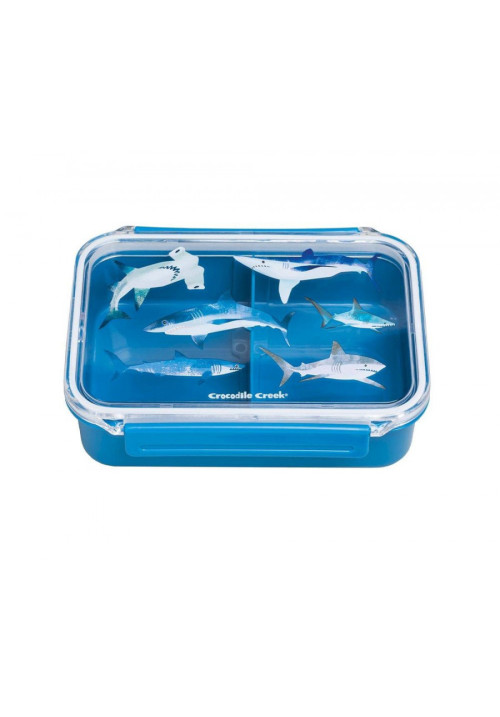 Bento box tiburones
