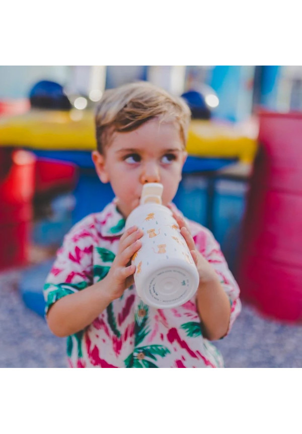 The Kiddie Bottle - Whisker Kittens 350ml COOL BOTTLES