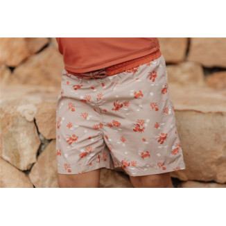 Bañador lobster bay LITTLE DUTCH