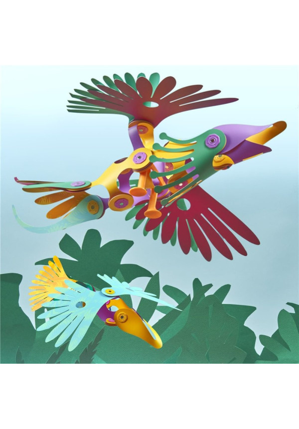 Tropical Birds CLIXO