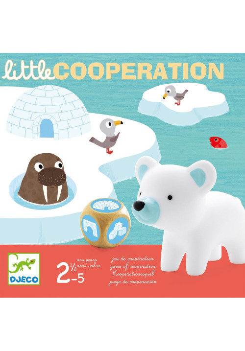 Little Cooperation DJECO