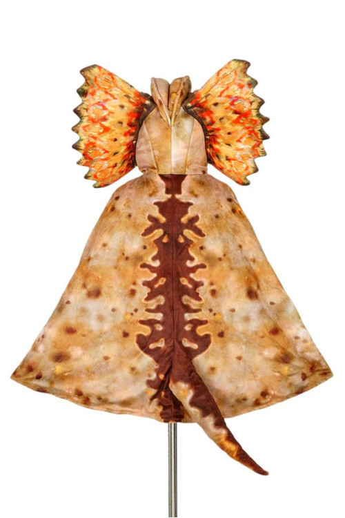 Capa de Dilophosaurus SOUZA