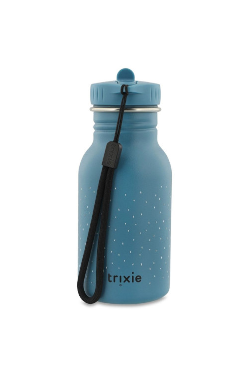 Botella acero Mr. Triceratops TRIXIE