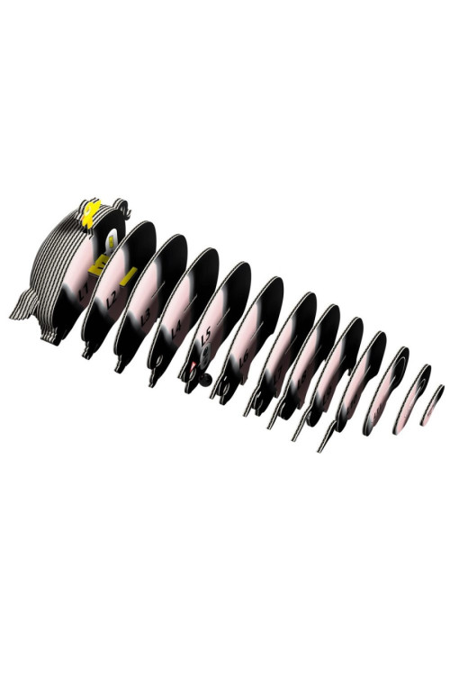 Cerdo EUGY DODLAND Cerdo EUGY DODLAND