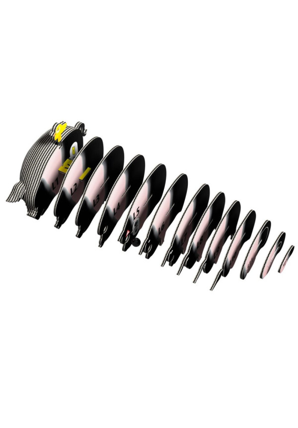Cerdo EUGY DODLAND