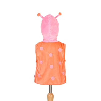 Mariquita margarita SOUZA