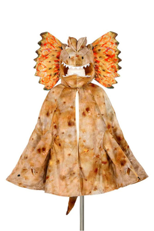 Capa de Dilophosaurus SOUZA