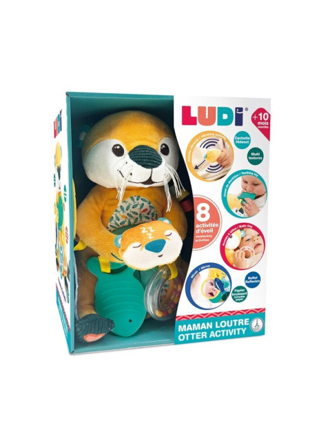 Conjunto actividades nutria LUDI