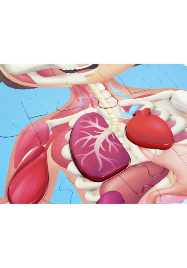 Puzzle cuerpo humano HAPE 
