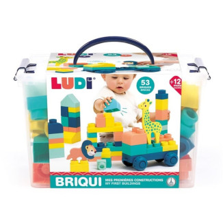 Briqui mis primeras construcciones LUDI 