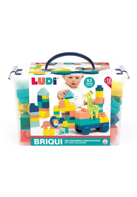Briqui mis primeras construcciones LUDI 
