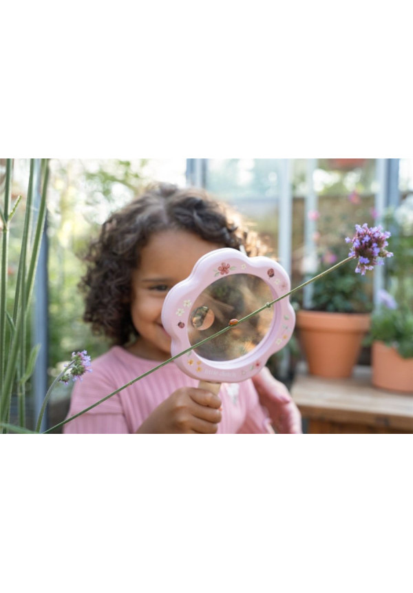 Lupa fairy garden LITTLE DUTCH