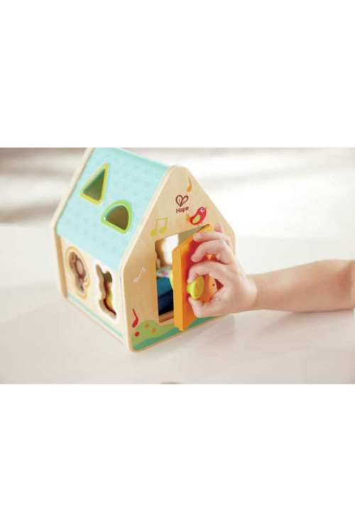 Clasificador de Formas en la Casa de Criaturas HAPE