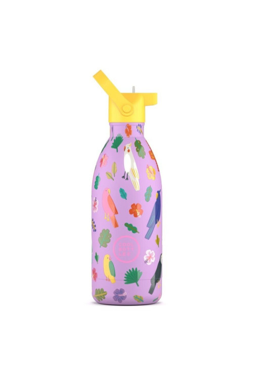 The Kids Bottle - Fly Free 500ml COOL BOTTLES