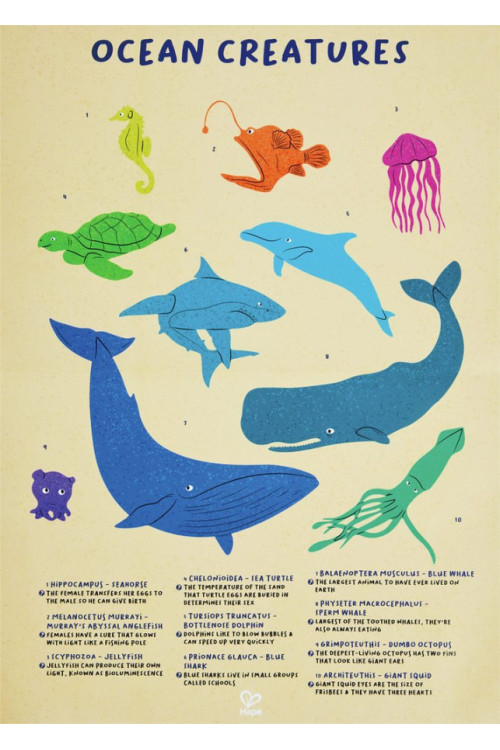 Puzzle de Suelo Brillante de Ballena - 200 pzs HAPE Puzzle de Suelo Brillante de Ballena - 200 pzs HAPE