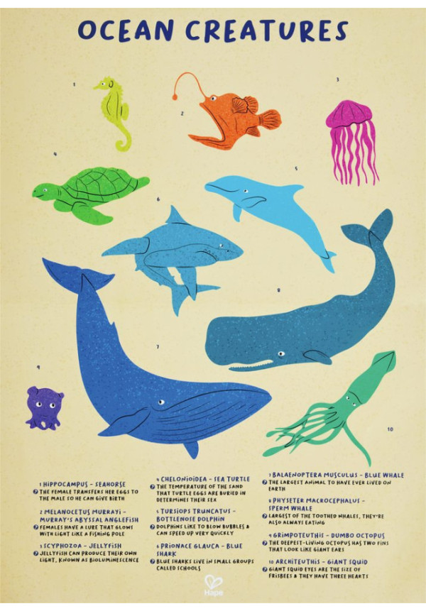 Puzzle de Suelo Brillante de Ballena - 200 pzs HAPE