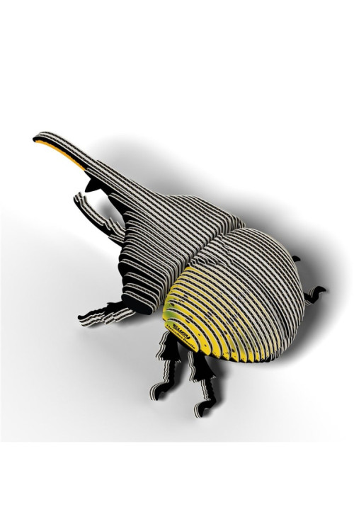 Hercules Beetle EUGY DODOLAND