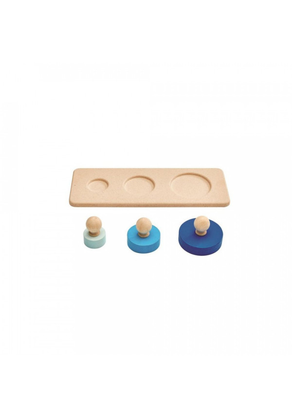 Encaja los circulos PLANTOYS