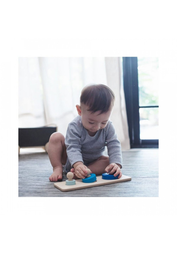 Encaja los circulos PLANTOYS
