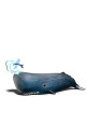 Sperm whale EUGY DODOLAND 