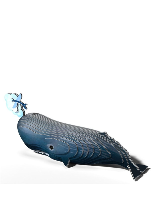 Sperm whale EUGY DODOLAND 