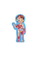 Puzzle cuerpo humano HAPE 