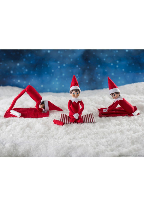 ELF ON THE SHELF chico