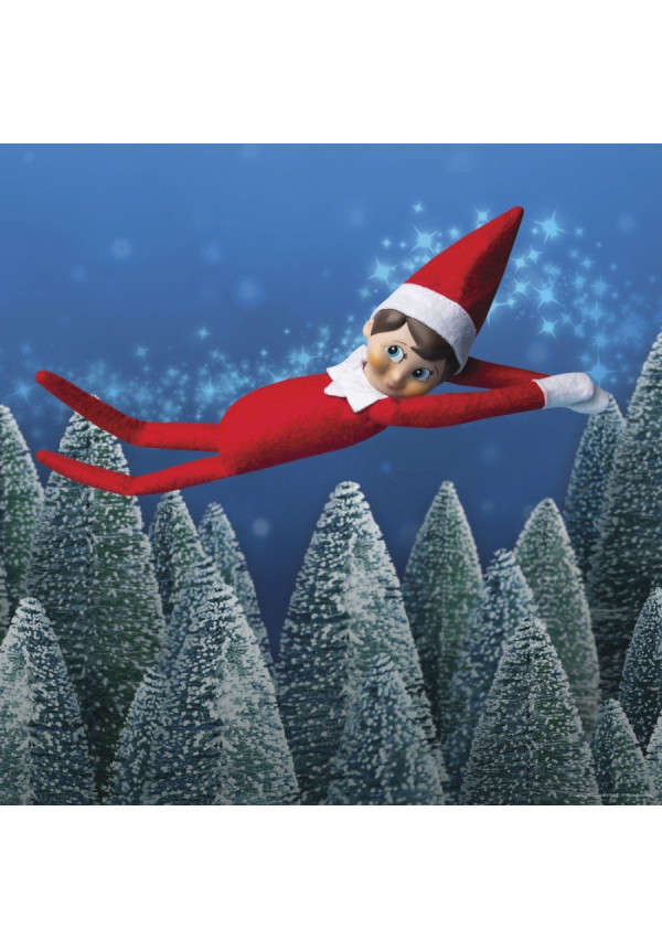 ELF ON THE SHELF chico