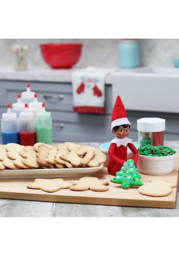 ELF ON THE SHELF chico