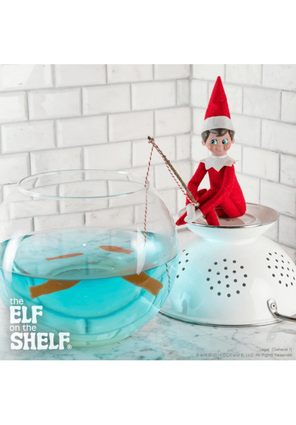 ELF ON THE SHELF chico