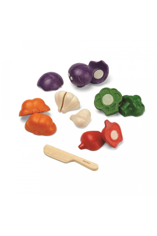 Set de vegetales de 5 colores PLANTOYS