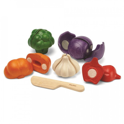 Set de vegetales de 5 colores PLANTOYS