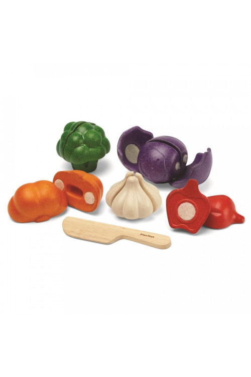 Set de vegetales de 5 colores PLANTOYS