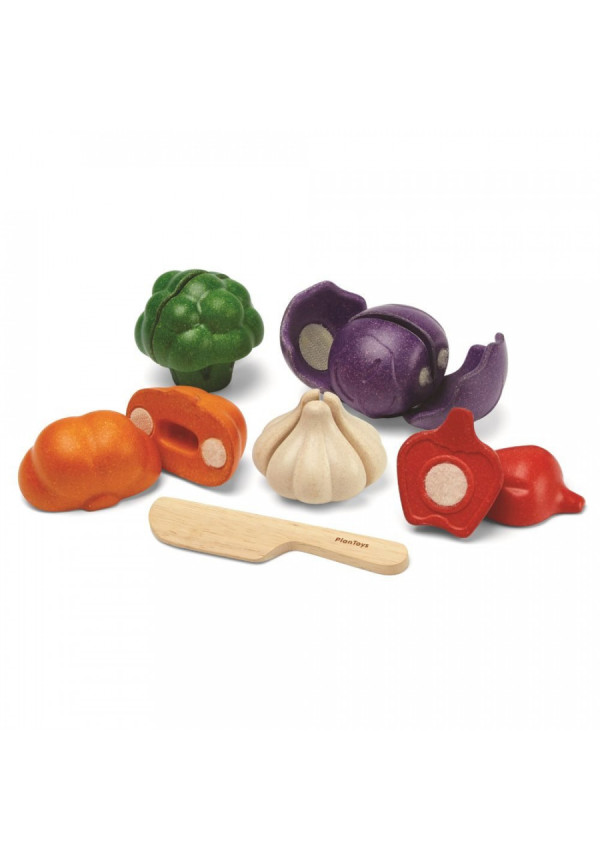 Set de vegetales de 5 colores PLANTOYS