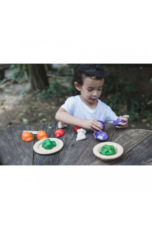 Set de vegetales de 5 colores PLANTOYS