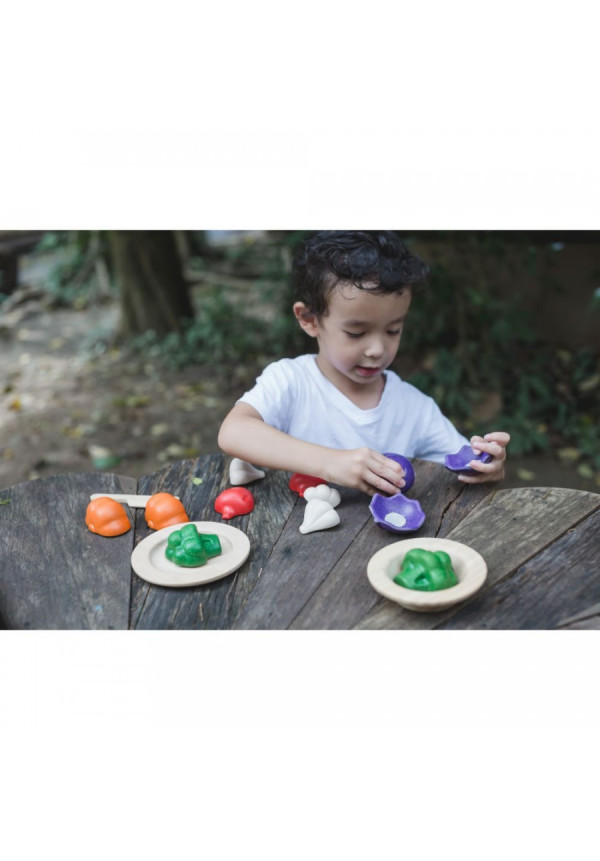 Set de vegetales de 5 colores PLANTOYS