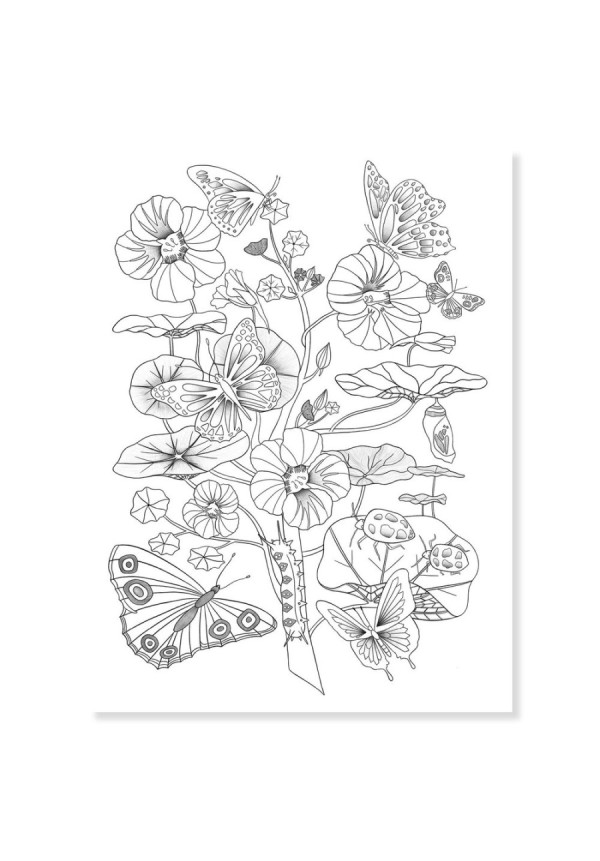 Posters para colorear Colouring Gallery bosque DJECO