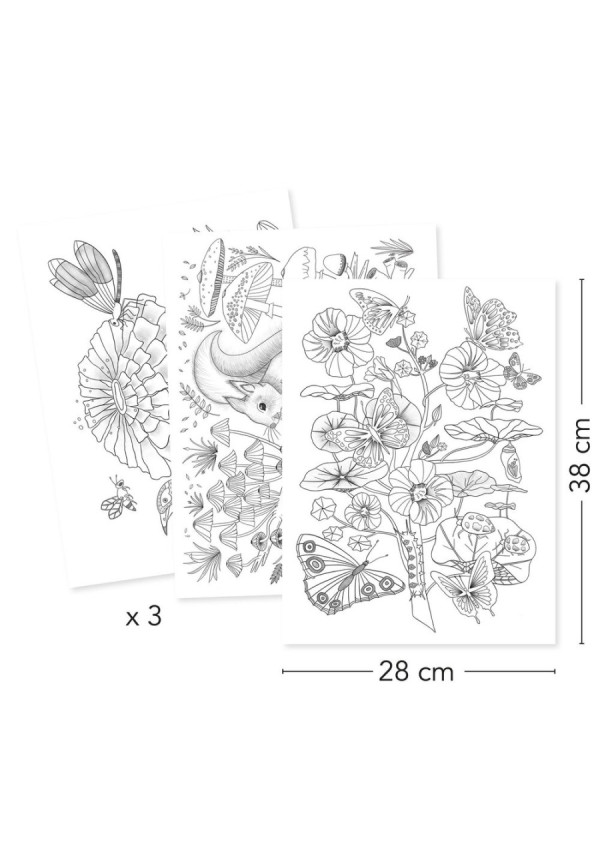 Posters para colorear Colouring Gallery bosque DJECO