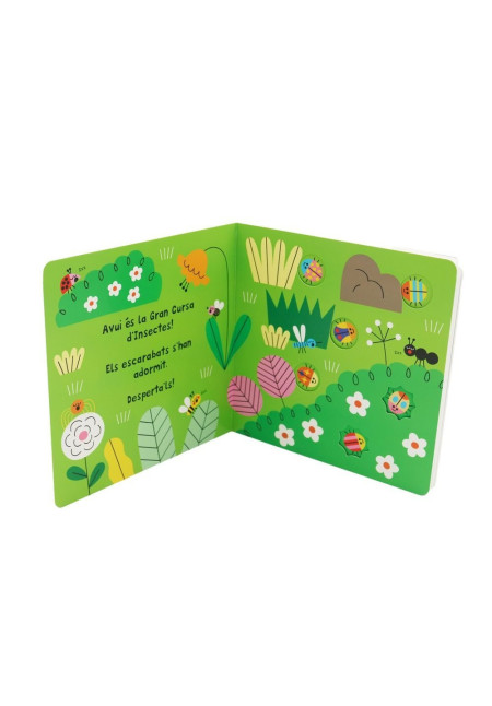 Insectes COMBEL