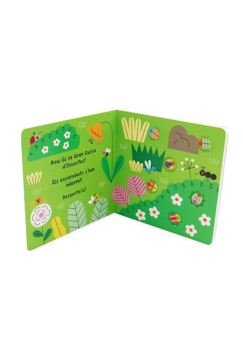 Insectes COMBEL