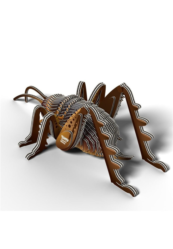 Giant Weta EUGY DODOLAND